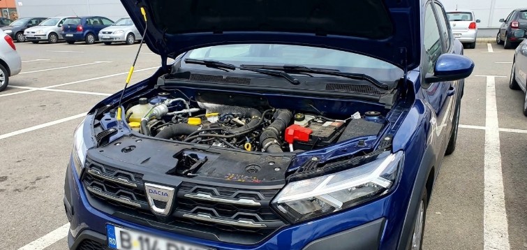 Renault-Motor TCe 90 Eco-G 100